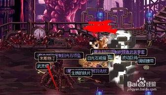 地下城最新爆料在哪看啊,揭秘神秘之地，独家资讯速览